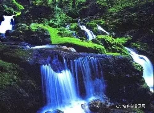 画线进洞